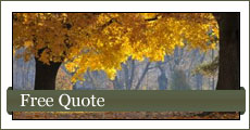 Free Quotes