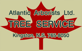 Atlantic Arborists Ltd.
